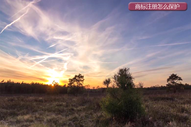 注冊商標應(yīng)該怎么做保護?