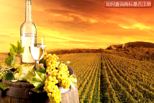 個體戶網(wǎng)上如何查詢商標(biāo)是否注冊